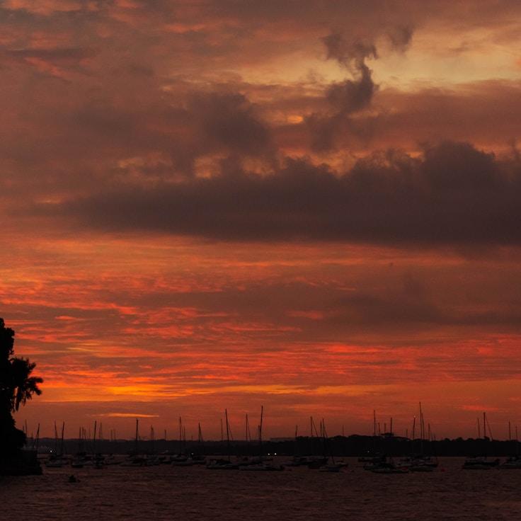 Maritime life snapshot